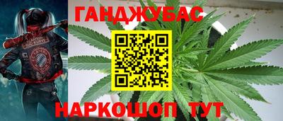 прущие крисы Братск