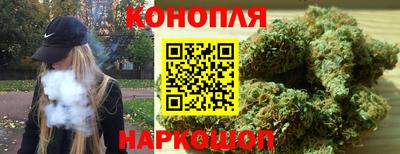 прущие крисы Братск
