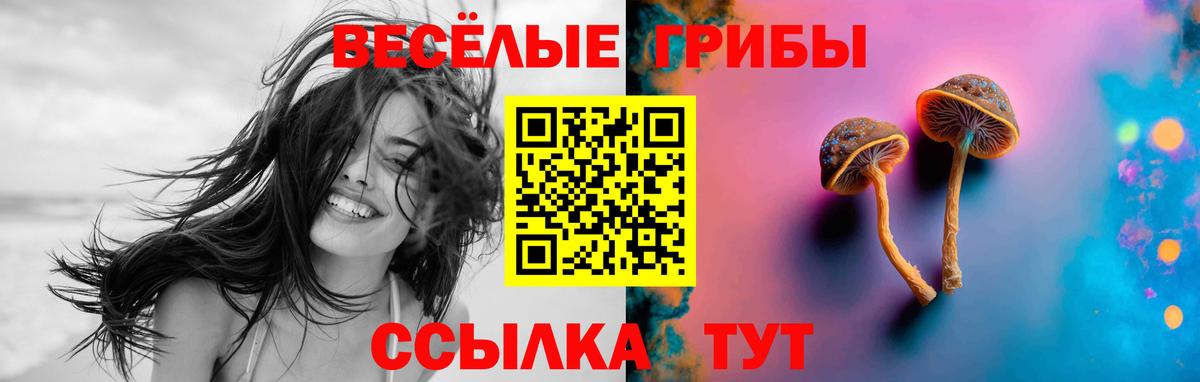 Архангельск  Псилоцибиновые грибы ЛСД  Вход с VPN 